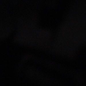 Meet your Posher, Alondra